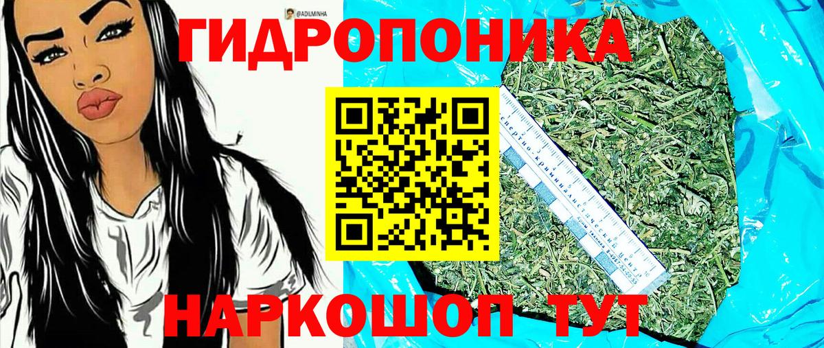 Бошки марихуана гибрид  Вход с VPN  Сальск  Канабис конопля 